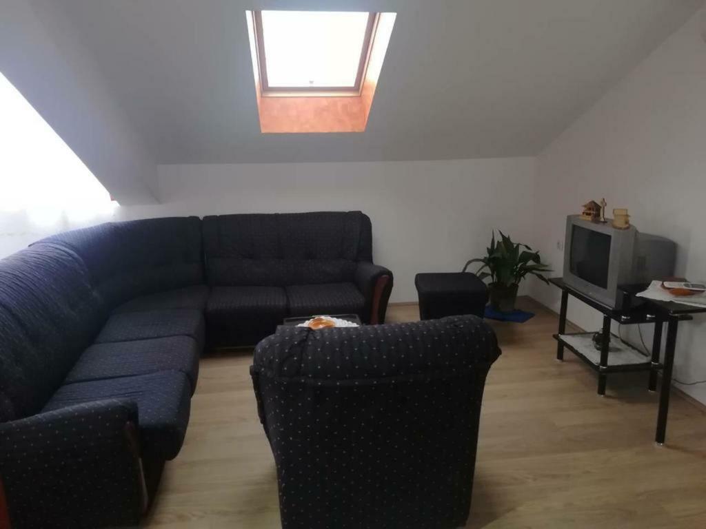 Apartman Ivana Ica 索科矿泉村 外观 照片