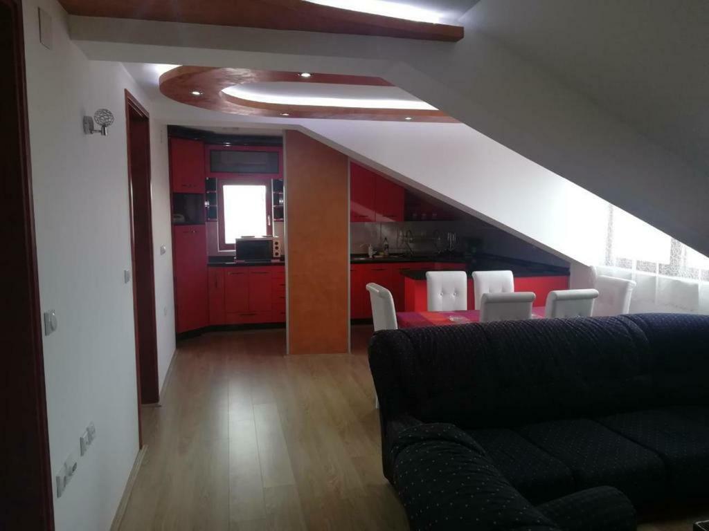 Apartman Ivana Ica 索科矿泉村 外观 照片